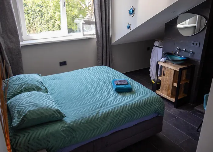 Koraal - Comfortabele Bij Gezond Aan Zee - Toegang Wellnesstuin Meerprijs Oda ve Kahvaltı